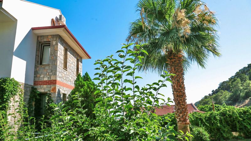 Tropical Deluxe Hotel